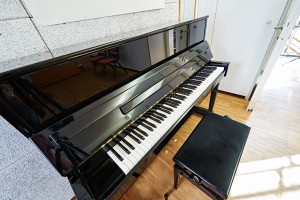 Das Klavier               